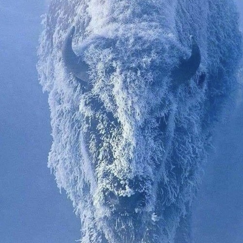 Team Ohio Hockey | 14U Team Ohio (Wechter) Roster | Full Season | 2025-2026