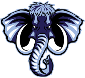 Lakes Area Hockey | Mini Mite (6U) | Youth Travel