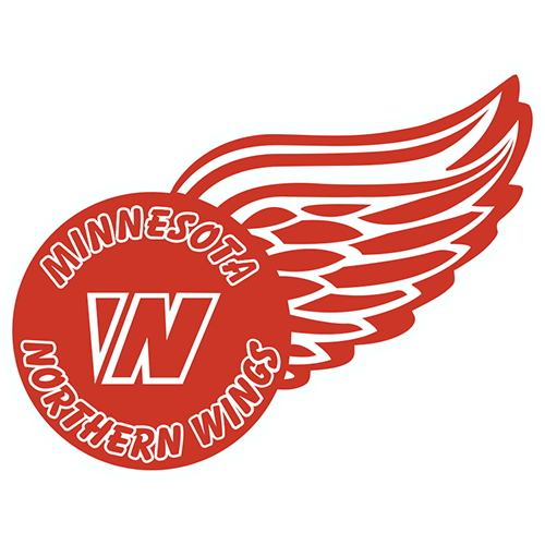 Minnesota Northern Wings AAA Hockey | 2015 AAA | Spring/Summer | 2026