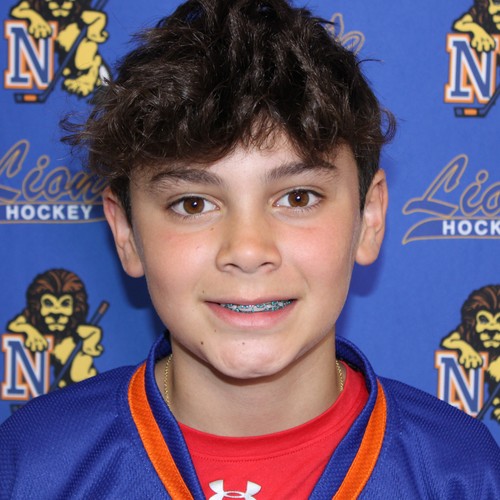 nassau-county-hockey-13u-aa-roster-nassau-county-hockey-25-26