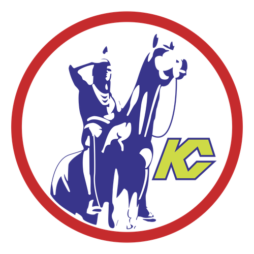 Scouts logo