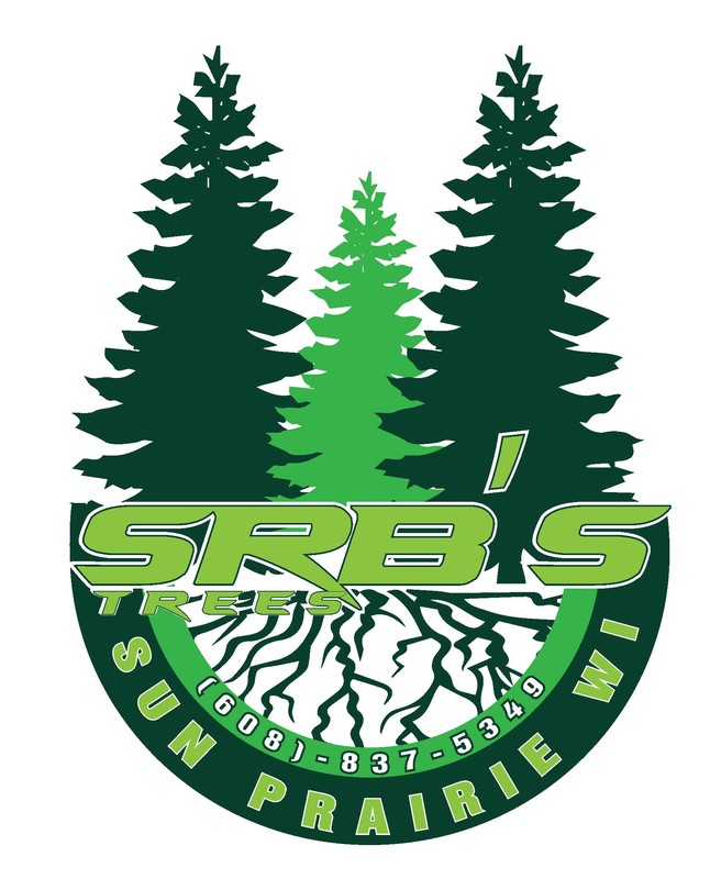 Srb's Trees