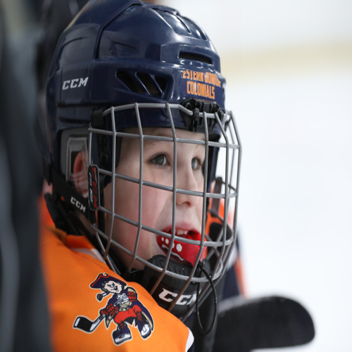 Western CT Youth Hockey Assoc Inc Pee Wee A Roster Travel Hockey