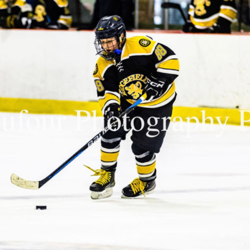 Ridgefield Amateur Hockey Association Bantam A Roster Lions Travel