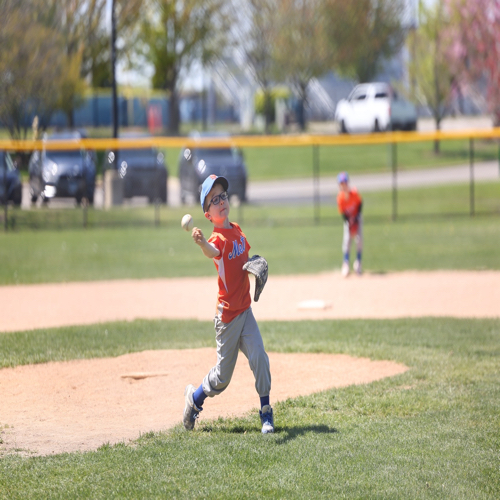 Vernon Hills Community Baseball and Softball | 9U Blue Roster | Travel ...
