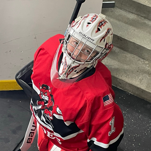 Fox Valley Blades Youth Hockey Peewee C Red Roster U10U14 Travel