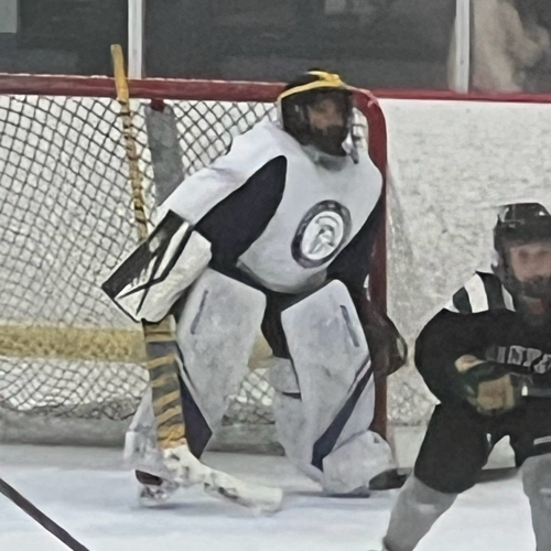 Wilmette Jr. Trevians Hockey Spring Pee Wee Prospects Roster Spring