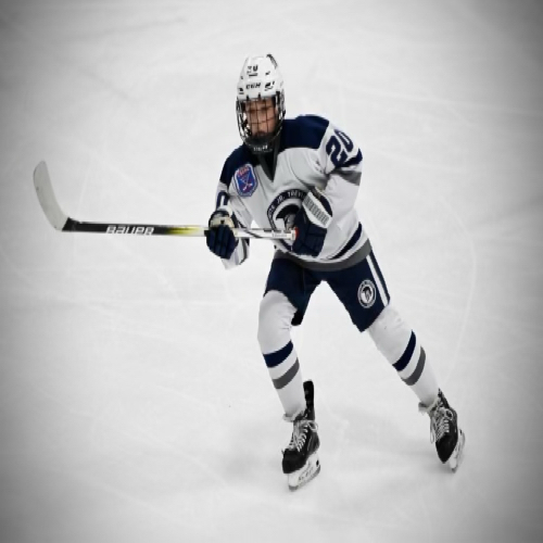 Wilmette Jr. Trevians Hockey Spring Pee Wee Major 2012 Roster