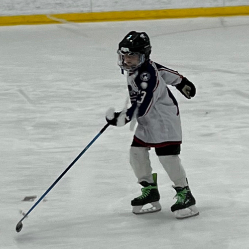 Capital Amateur Hockey Association 8U Tournament Team Red Roster