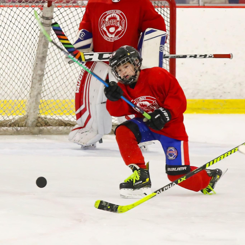 South Indy Youth Hockey 12U Travel Sharks Roster SIYHA