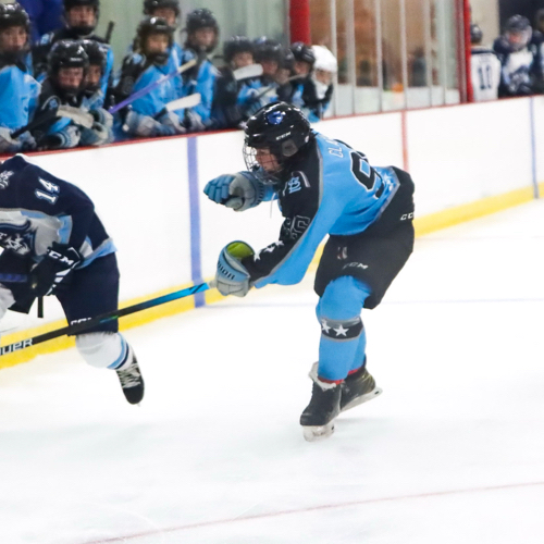 Carshield AAA Hockey 14U Roster Bantam Registration 20232024