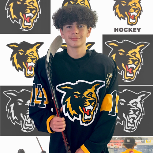 Golden Wolves Hockey 16U A Roster Golden Wolves 20232024 10U18U