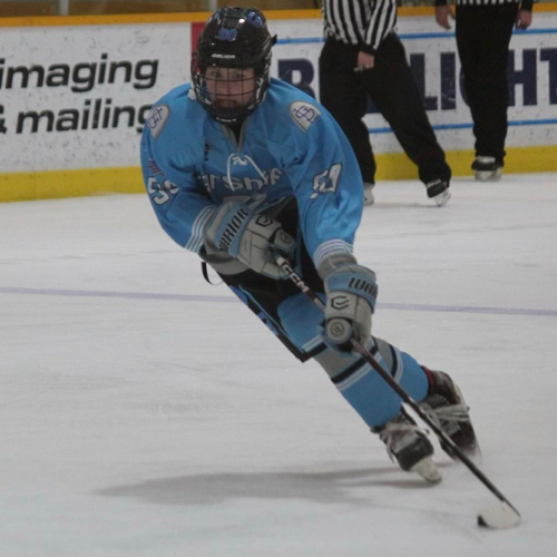 Carshield AAA Hockey 14U Roster Bantam Registration 20222023