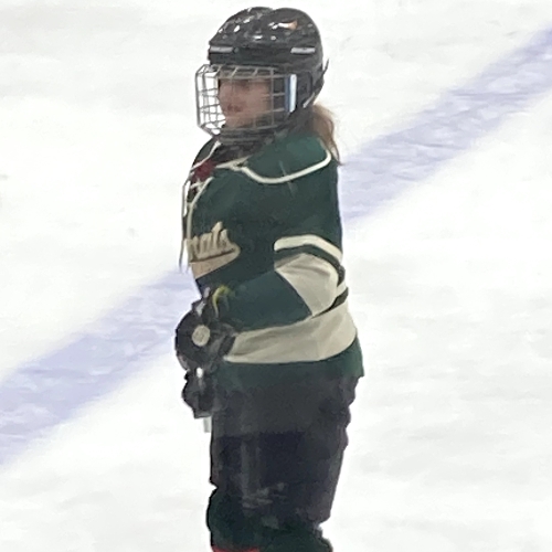 Hallock Youth Hockey Mites Roster Park Board 20222023