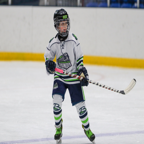 Bloomington Youth Hockey 10UAA Roster Regular Season 20232024 Season