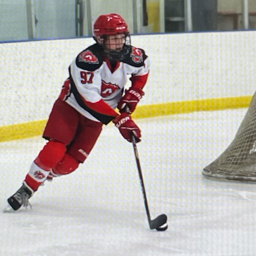 Arrowhead Youth Hockey Bantam 14U Roster Arrowhead Youth Hockey 20222023 Season