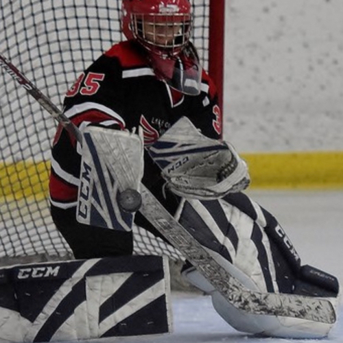 Arrowhead Youth Hockey LCW 14U Roster Arrowhead Youth Hockey 20222023 Season