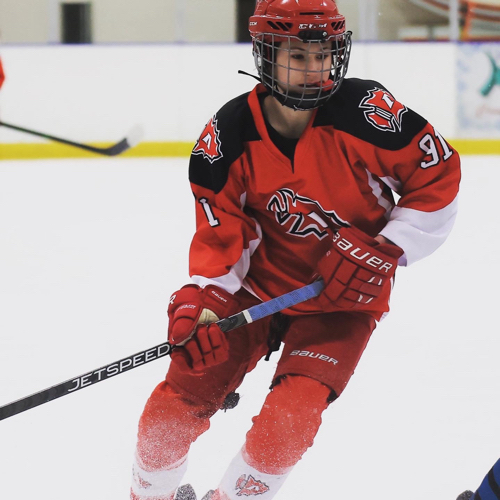 Arrowhead Youth Hockey Bantam 14U Roster Arrowhead Youth Hockey 20222023 Season