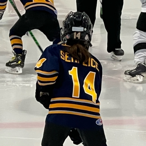 Hockey Association 10U Molek Roster Blades 20232024