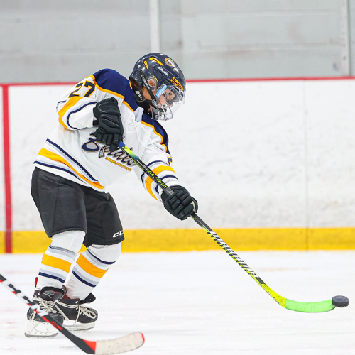 Hockey Association Girls Tryout Team Roster Blades 20242025
