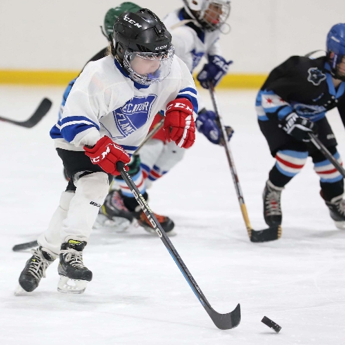 Decatur Youth Hockey Association 10U B3 Roster Travel Hockey 10u