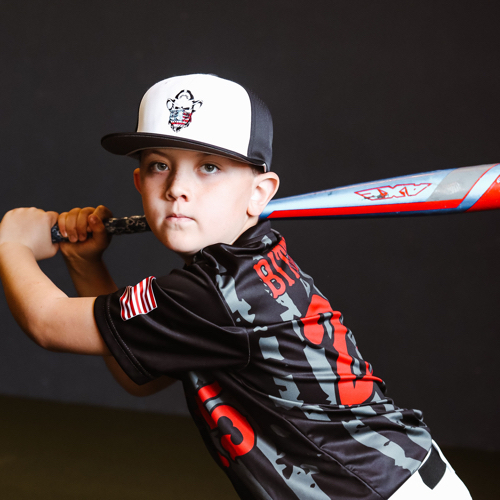 Lakeshore Youth Baseball And Softball Association 10U Baseball