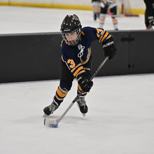 Hockey Association 8U Tryout Team Roster Blades 20242025