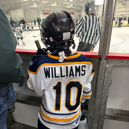 Hockey Association 8U Tryout Team Roster Blades 20242025