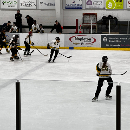 Beaver Dam Hockey Association 14U Wildfire Roster Regular Season