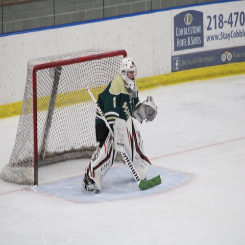 Hallock Youth Hockey Bantams Roster Park Board 20222023