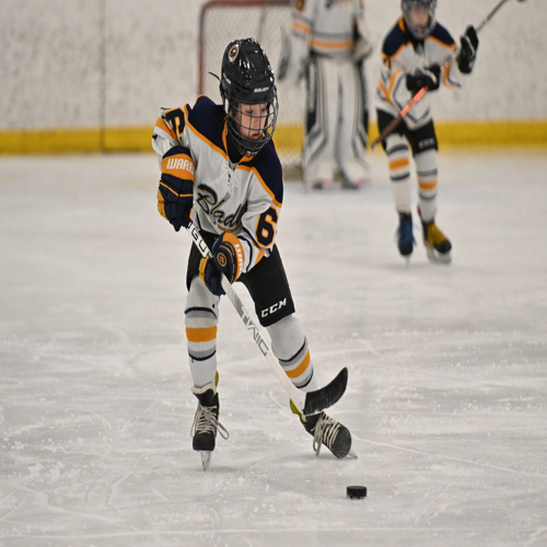 Hockey Association 10U Molek Roster Blades 20232024