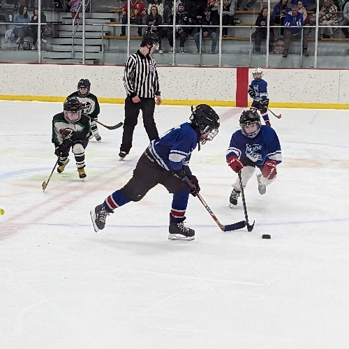 Decatur Youth Hockey Association 10U B3 Roster Travel Hockey 10u