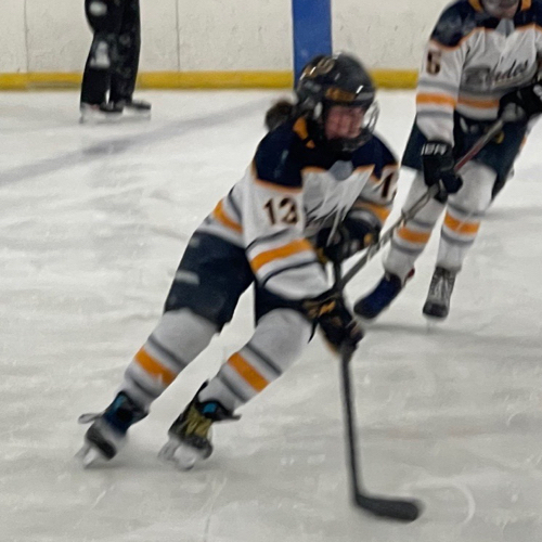 Hockey Association Girls Tryout Team Roster Blades 20242025