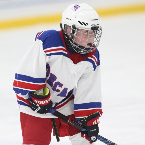 Decatur Youth Hockey Association 10U B1 Roster Travel Hockey 10u