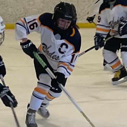 Hockey Association Girls Tryout Team Roster Blades 20242025