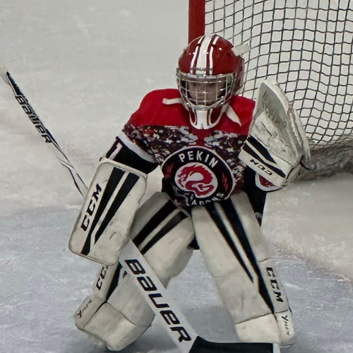 Pekin Amateur Hockey Association 8U AA Jr. Dragons Roster Regular