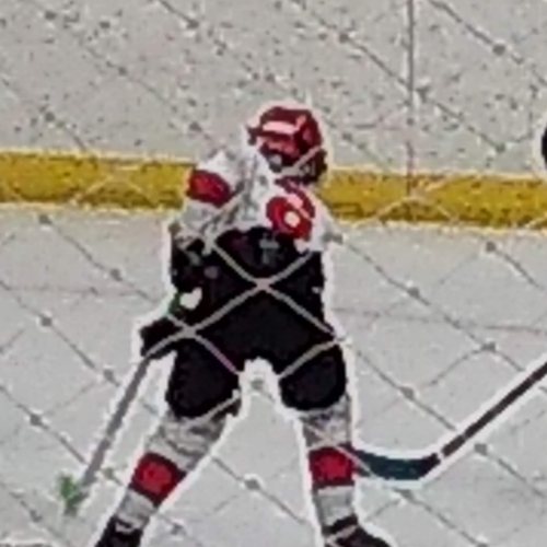 Sauk Prairie Youth Hockey Association 14U B Roster Lake City