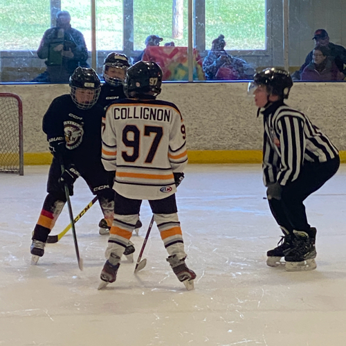 Hockey Association 8U Tryout Team Roster Blades 20242025