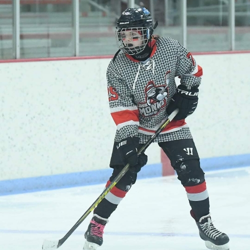 Sauk Prairie Youth Hockey Association 14U B Roster Lake City