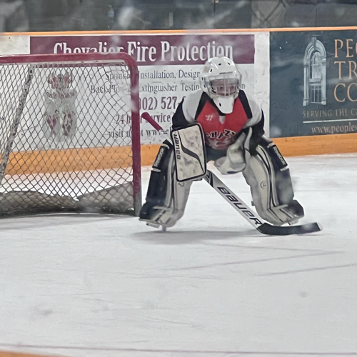 Chazy Youth Hockey Chazy 8U Mite Orange Roster Regular Season