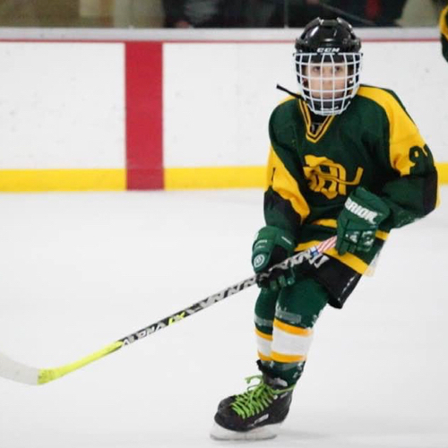 Beaver Dam Hockey Association 12U Pee Wees A Roster Regular Season