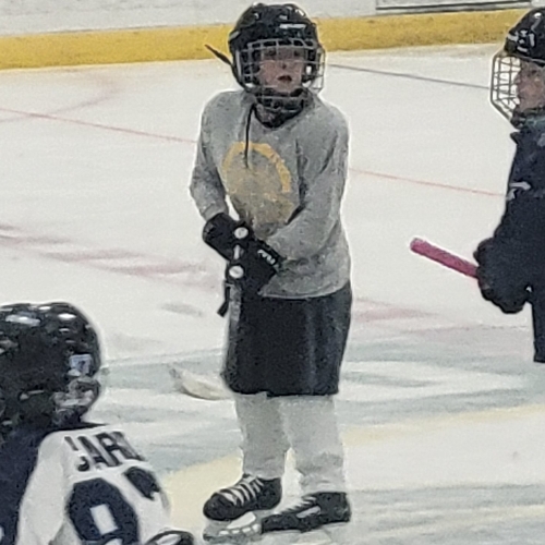 Saratoga Youth Hockey 8U Blue Roster Full Season Hockey 20232024