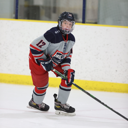 Dublin High School Hockey Association Dublin Comets Roster Dublin