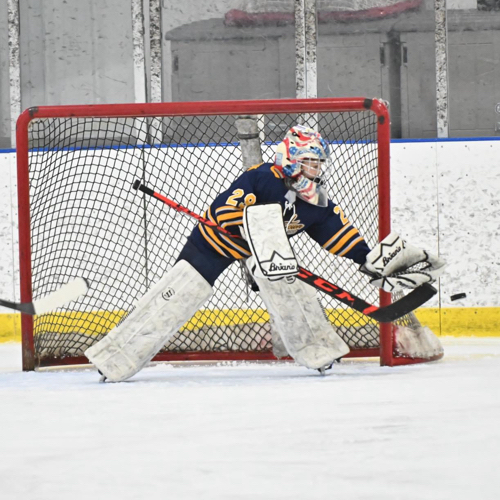 Hockey Association 10U Tryout Team Roster Blades 20242025