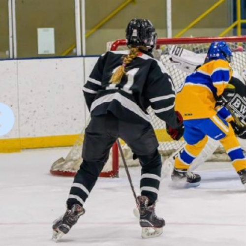 BW Blades Hockey Peewee A Roster BW Blades Youth Hockey 2024 2025