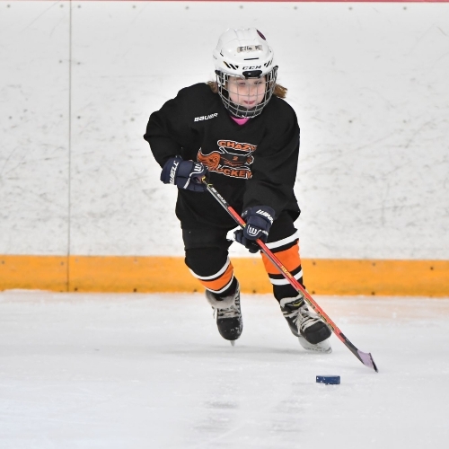 Chazy Youth Hockey Chazy 8U Mite Orange Roster Regular Season