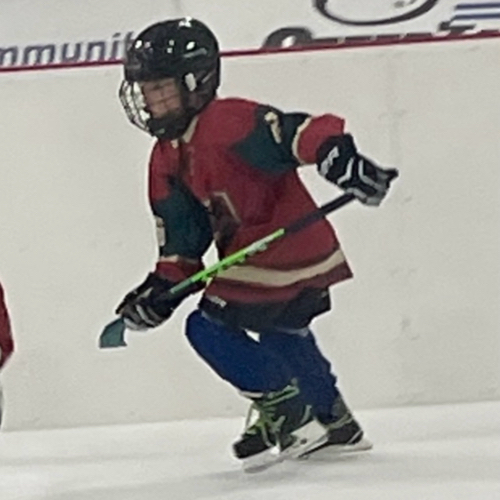 BW Blades Hockey Mini Mites Roster BW Blades Youth Hockey 20232024