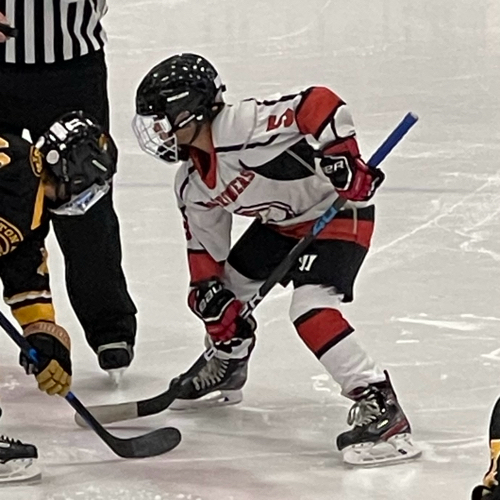 Chazy Youth Hockey Chazy 12U Peewee Orange Roster Regular Season