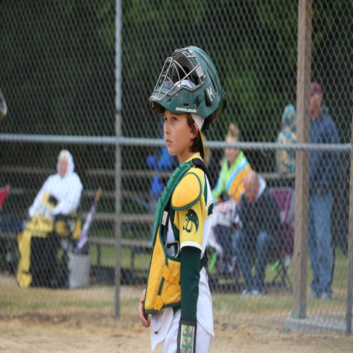 Beaver Dam Hockey Association 12U Pee Wees B Roster Regular Season