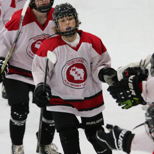 Mosinee Hockey Club Bantam Roster Youth Hockey 20232024